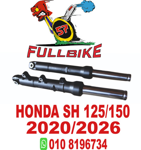 Steli completi forcella - completi, honda